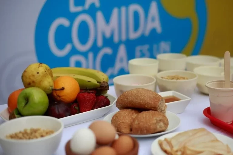 ORIENTACIONES Y PROOCOLOS JUNAEB